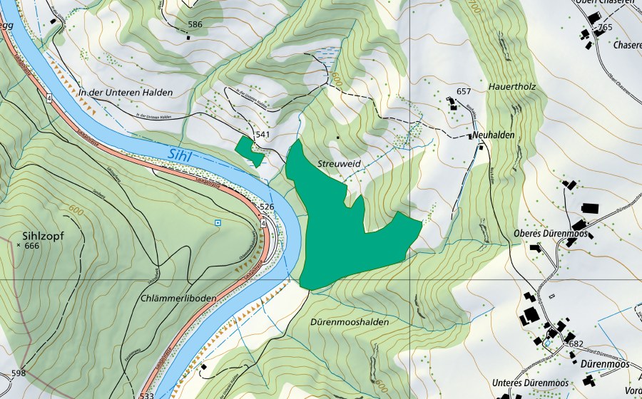 Landeskarte swisstopo mit dem Schutzperimeter von Streuweid (Flachmoor)