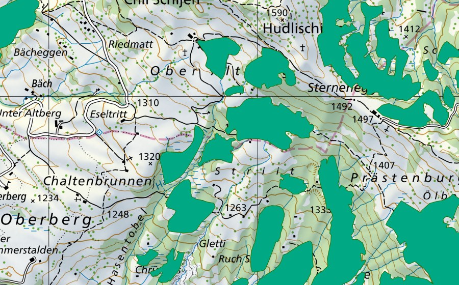 Carte nationale swisstopo avec le périmètre protégé de Strit (Bas-marais)