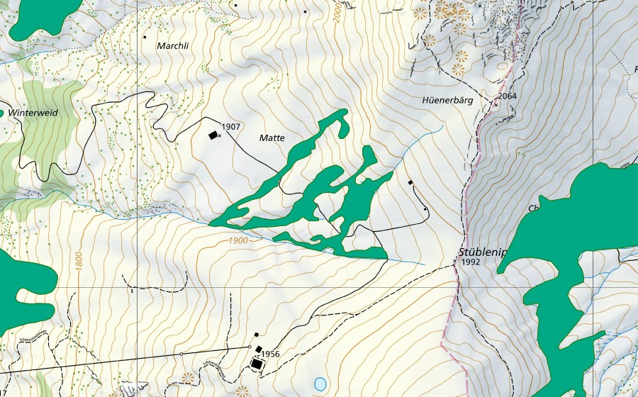 Landeskarte swisstopo mit dem Schutzperimeter von Stüblenipass (Flachmoor)