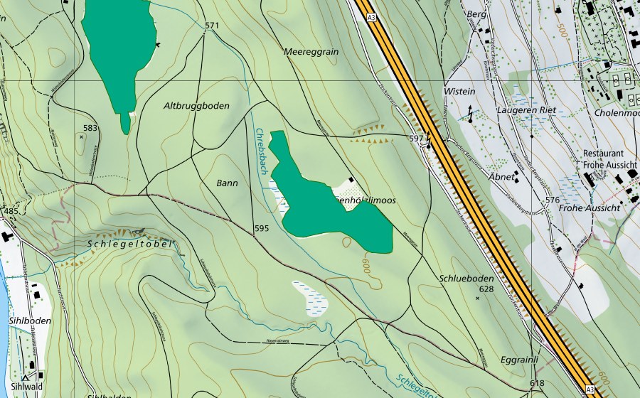 swisstopo national map showing the protected perimeter of Stumpenhölzlimoos (Fen)