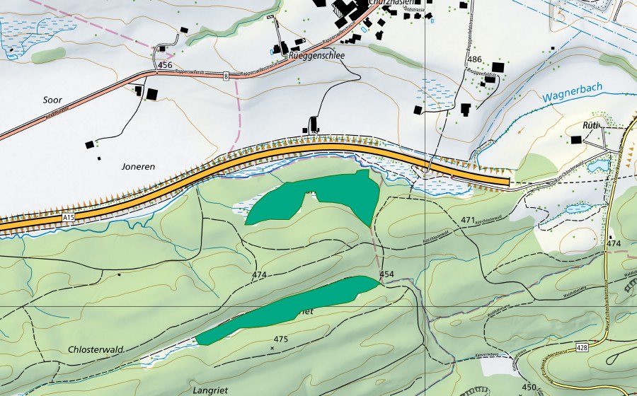 Carte nationale swisstopo avec le périmètre protégé de Südlich Rüeggenschlee (Bas-marais)
