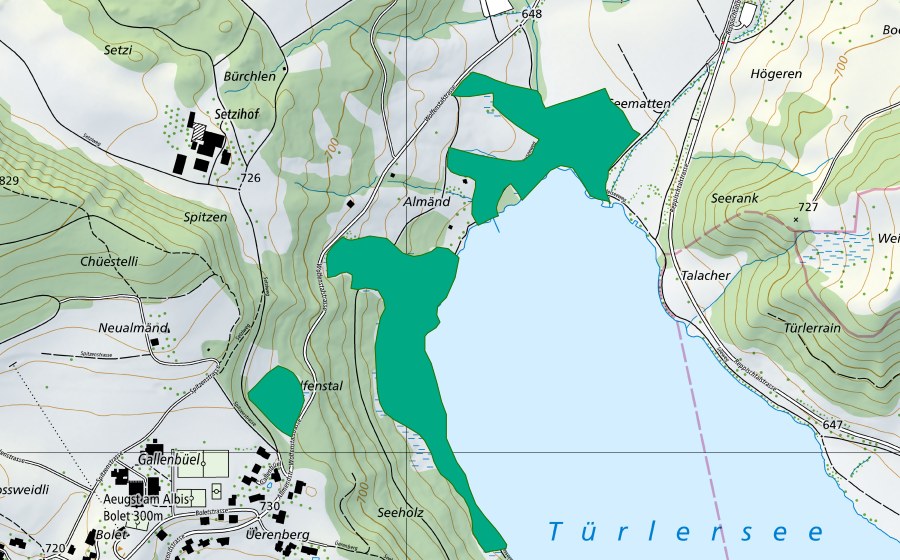 Landeskarte swisstopo mit dem Schutzperimeter von Südlich Seehüsli (Flachmoor)