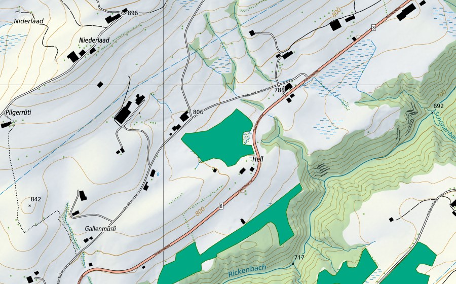 swisstopo national map showing the protected perimeter of Südöstlich Niderlaad (Fen)