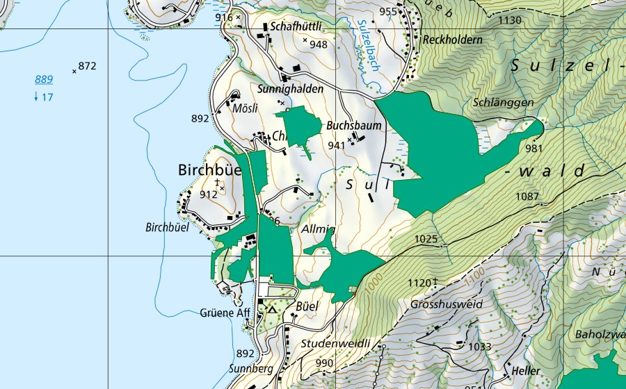 Carte nationale swisstopo avec le périmètre protégé de Sulzel (Bas-marais)