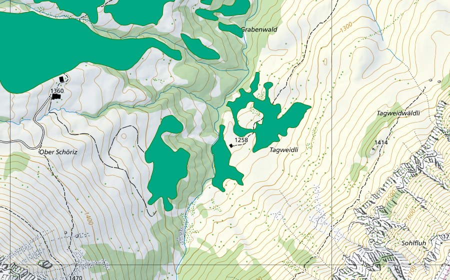 Carte nationale swisstopo avec le périmètre protégé de Sulzigrabe (Bas-marais)
