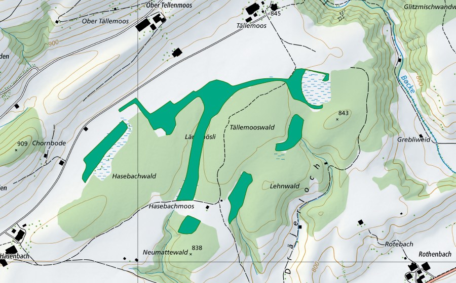swisstopo national map showing the protected perimeter of Tällenmoos Eschholzmatt (Fen)