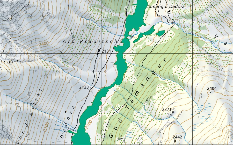 swisstopo national map showing the protected perimeter of Tamangur (Fen)