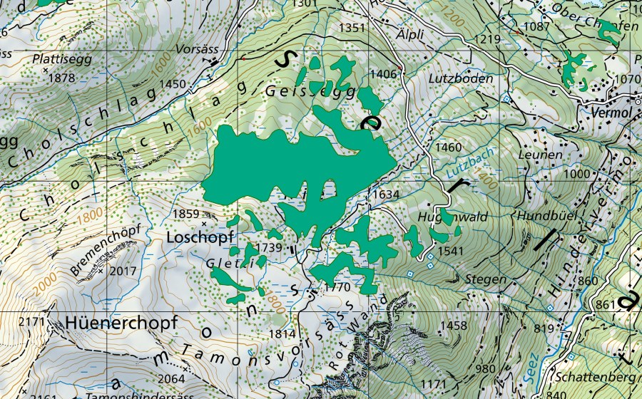 Carta nazionale swisstopo con il perimetro protetto di Tamons (Torbiera bassa)