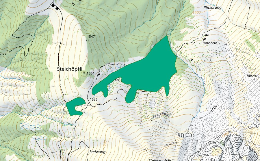 Landeskarte swisstopo mit dem Schutzperimeter von Tan/Hürnli (Flachmoor)