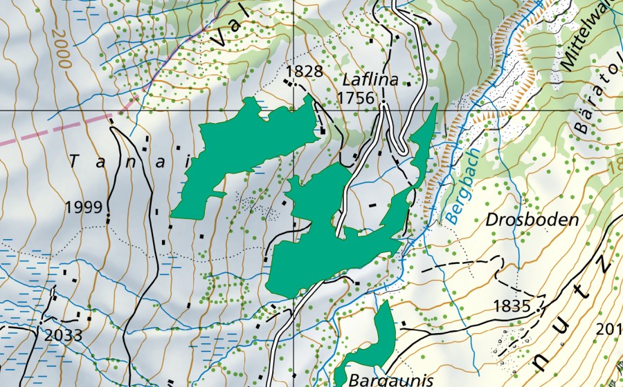 swisstopo national map showing the protected perimeter of Tanail (Fen)