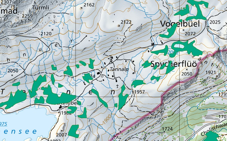 Landeskarte swisstopo mit dem Schutzperimeter von Tannen (Flachmoor)