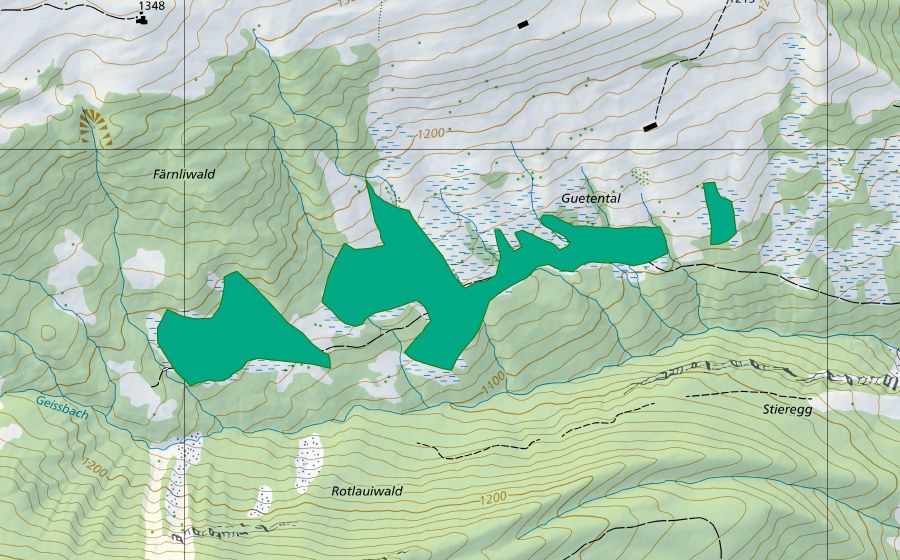 Carte nationale swisstopo avec le périmètre protégé de Tanzboden-Guetental (Bas-marais)