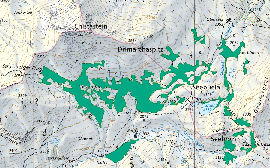 Landeskarte swisstopo mit dem Schutzperimeter von Teilenmäder/Seebüelen (Flachmoor)