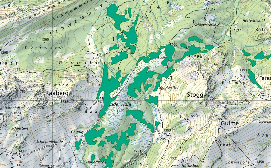 swisstopo national map showing the protected perimeter of Teuffenrohr/Stocklerriet (Fen)