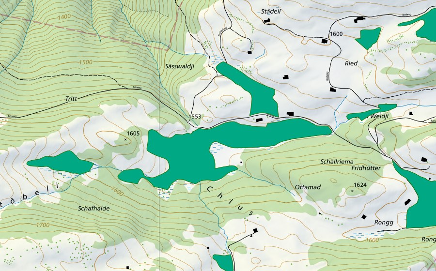 Carta nazionale swisstopo con il perimetro protetto di Teufried (Torbiera bassa)