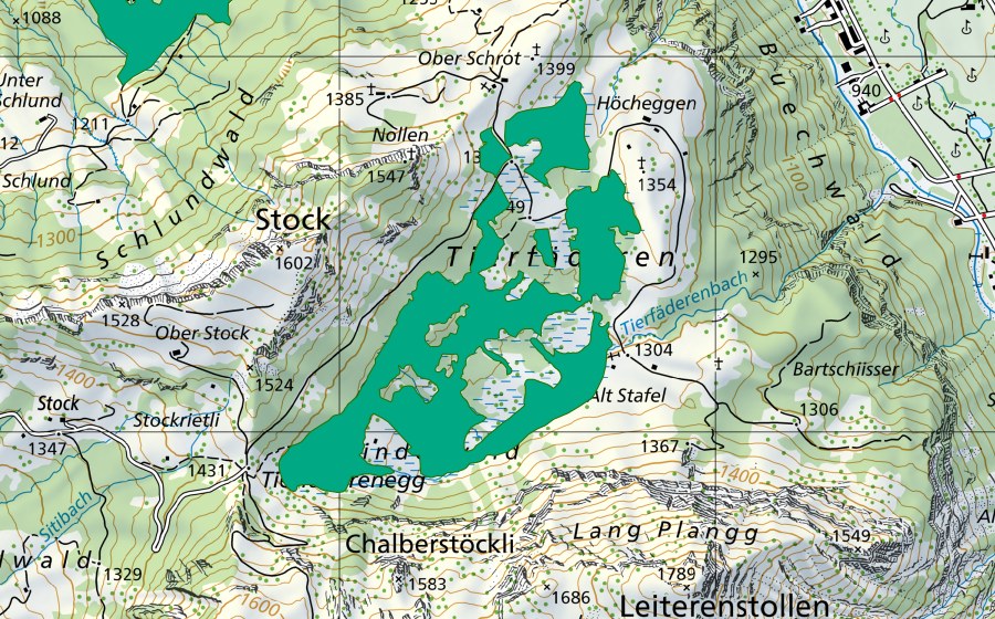 Landeskarte swisstopo mit dem Schutzperimeter von Tierfäderen (Flachmoor)