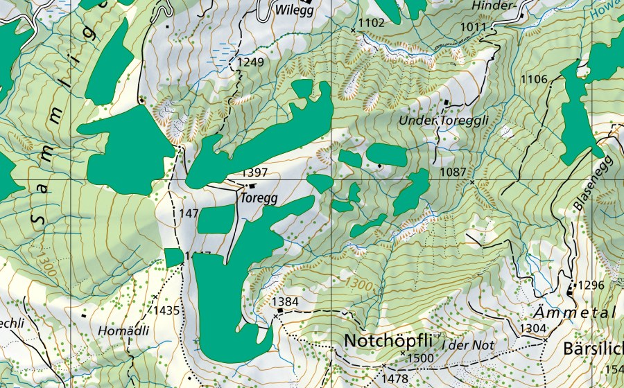 Carte nationale swisstopo avec le périmètre protégé de Toregg (Bas-marais)
