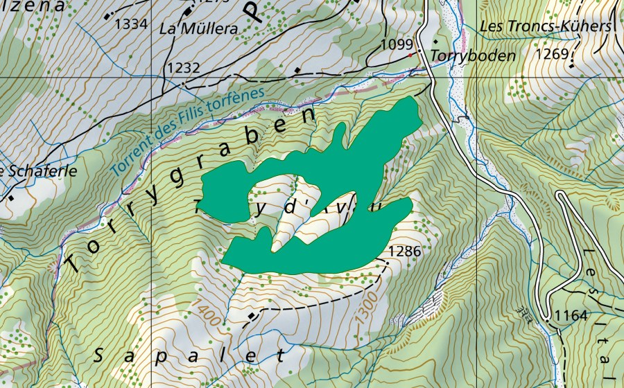 Carte nationale swisstopo avec le périmètre protégé de Torry d'Arau (Bas-marais)