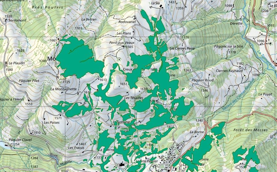 Carte nationale swisstopo avec le périmètre protégé de Tourbière sous les Plans-Les Tésailles (Bas-marais)