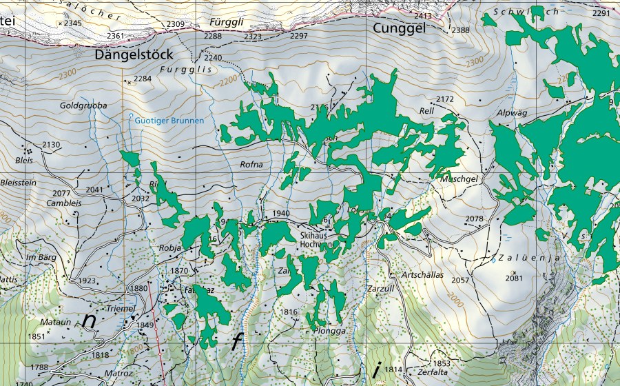 Carte nationale swisstopo avec le périmètre protégé de Triemel/Cunggel (Bas-marais)