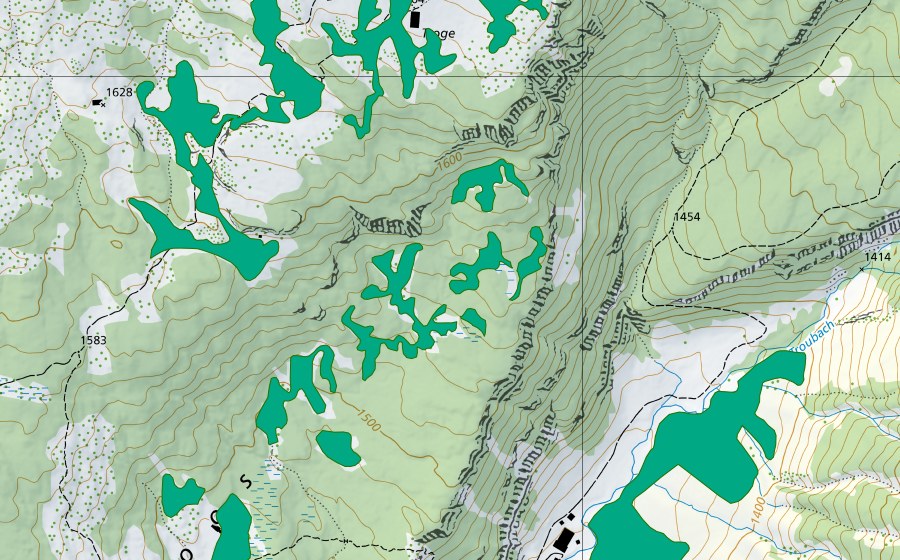 Carte nationale swisstopo avec le périmètre protégé de Trogenmoos Nord (Bas-marais)