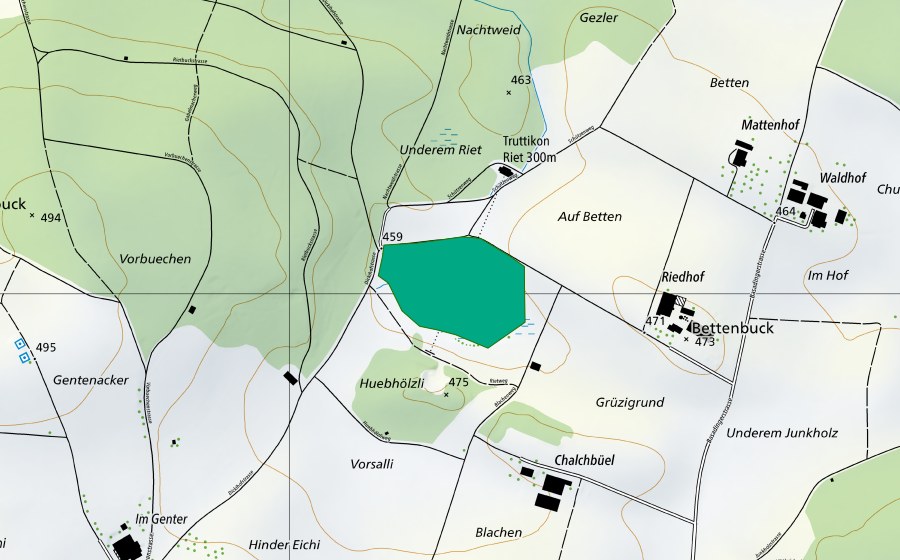 Carte nationale swisstopo avec le périmètre protégé de Truttikerried (Bas-marais)