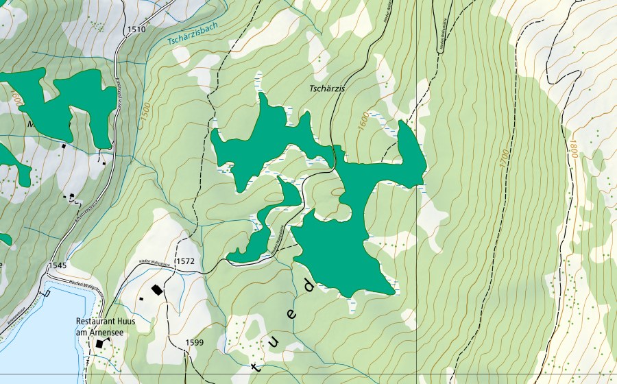 Landeskarte swisstopo mit dem Schutzperimeter von Tschärzis (Flachmoor)