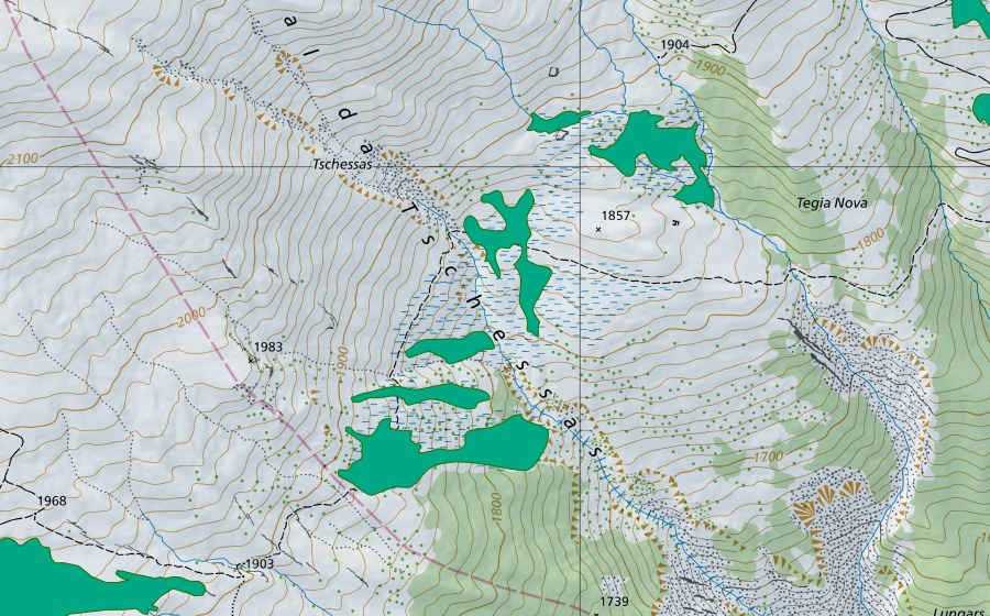 swisstopo national map showing the protected perimeter of Tschessas (Fen)