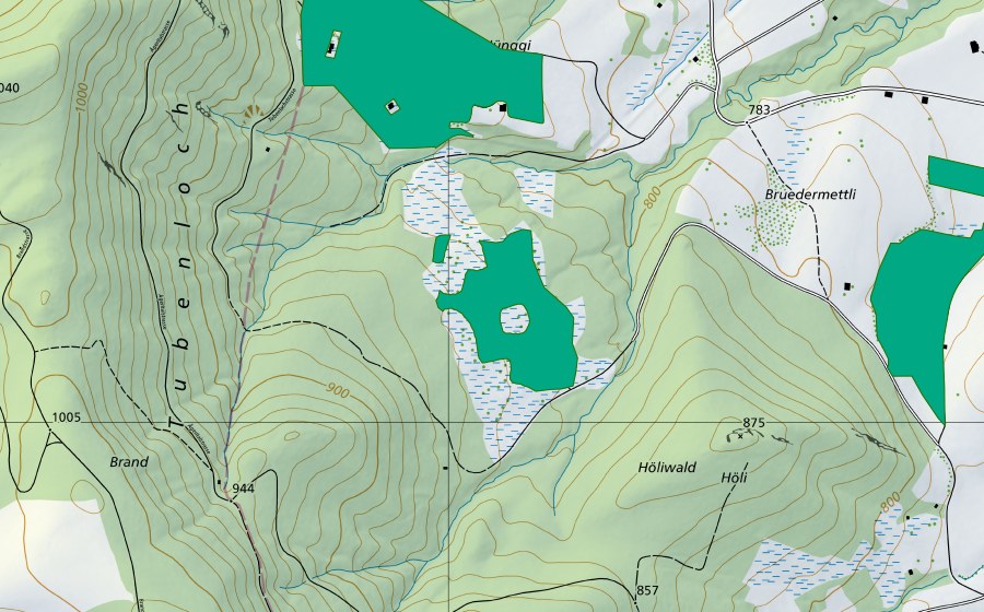swisstopo national map showing the protected perimeter of Tubenloch (Fen)