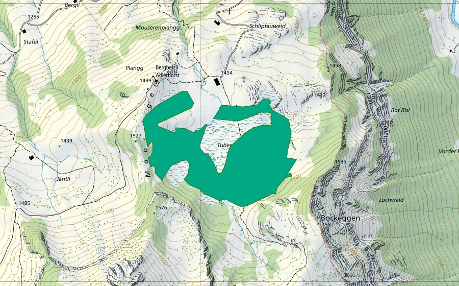 Landeskarte swisstopo mit dem Schutzperimeter von Tubenmoos (Flachmoor)