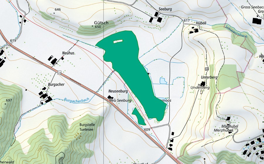 swisstopo national map showing the protected perimeter of Tuetenseeli (Fen)