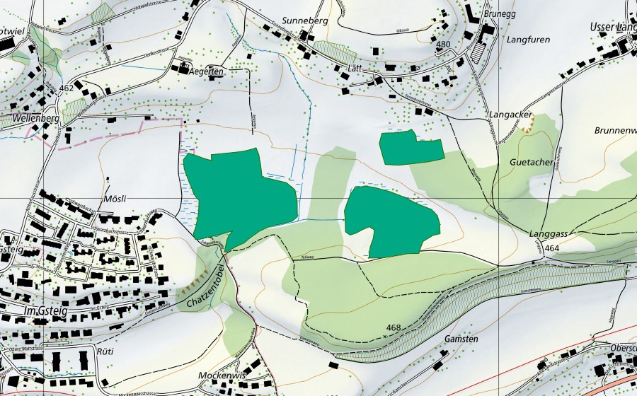 Carte nationale swisstopo avec le périmètre protégé de Tüfiried/Katzentobel (Bas-marais)
