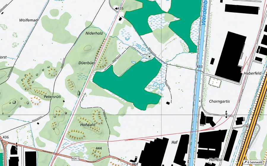 Carte nationale swisstopo avec le périmètre protégé de Tüfmoos (Bas-marais)
