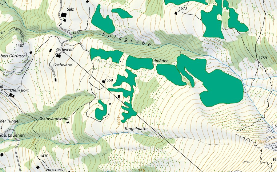 Landeskarte swisstopo mit dem Schutzperimeter von Tungelmatte (Flachmoor)