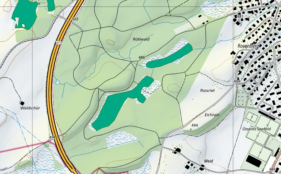 Carta nazionale swisstopo con il perimetro protetto di Turbenried im Rütiwald (Torbiera bassa)