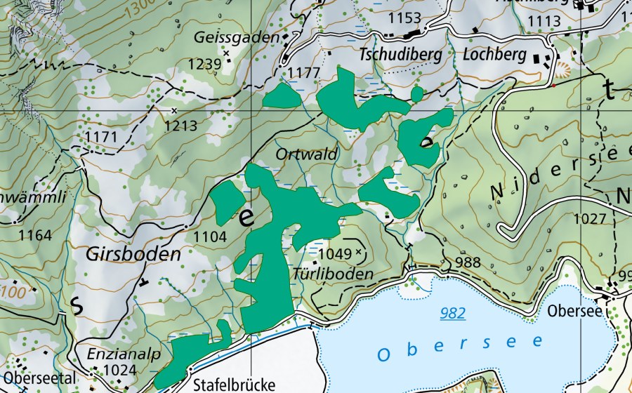 Carte nationale swisstopo avec le périmètre protégé de Türliboden (Bas-marais)