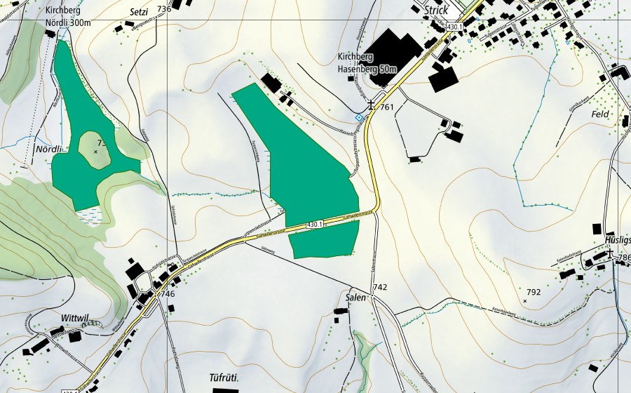 Landeskarte swisstopo mit dem Schutzperimeter von Turpenriet/Torf-Riet (Flachmoor)