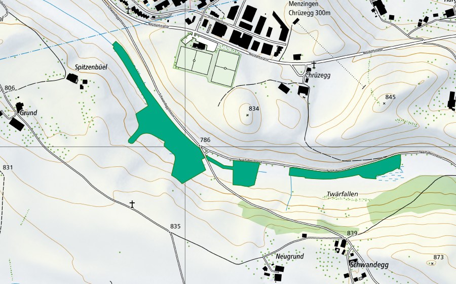 Landeskarte swisstopo mit dem Schutzperimeter von Twerfallen (Flachmoor)
