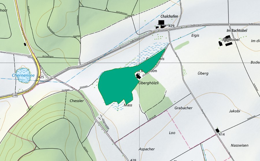 Landeskarte swisstopo mit dem Schutzperimeter von Überg Mas (Flachmoor)