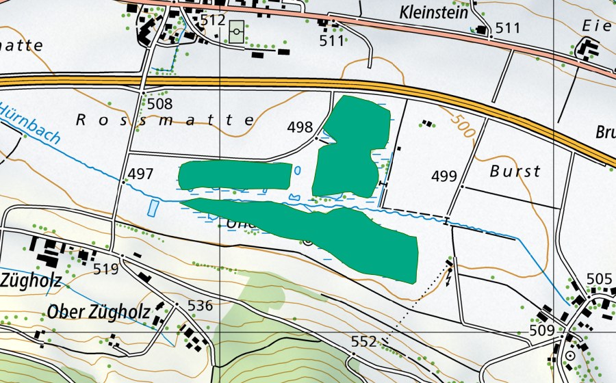 Carte nationale swisstopo avec le périmètre protégé de Uffikoner Moos (Bas-marais)