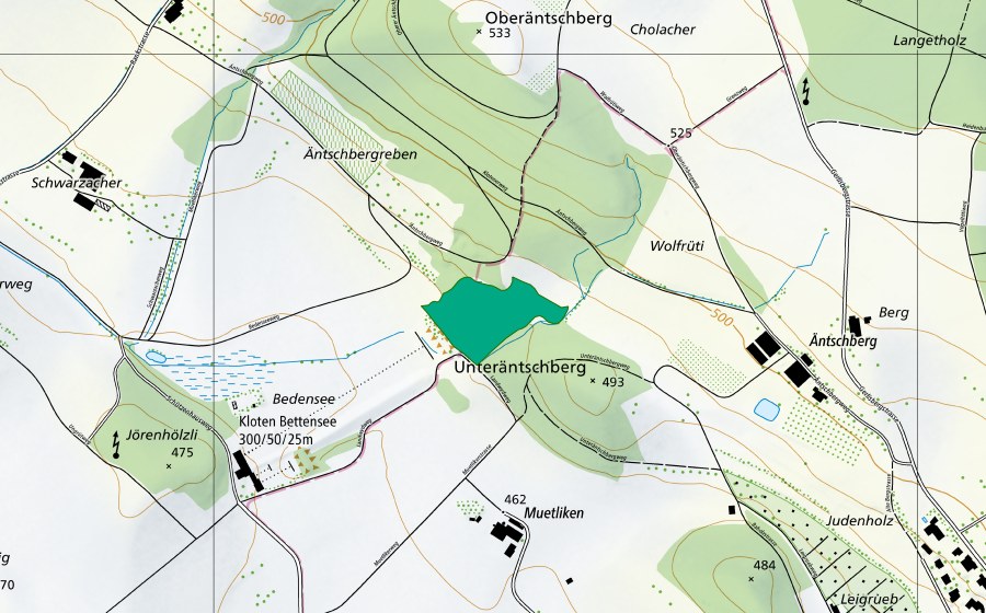 swisstopo national map showing the protected perimeter of Underäntschberg (Fen)