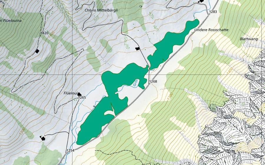 Landeskarte swisstopo mit dem Schutzperimeter von Undere Rossschatte (Flachmoor)