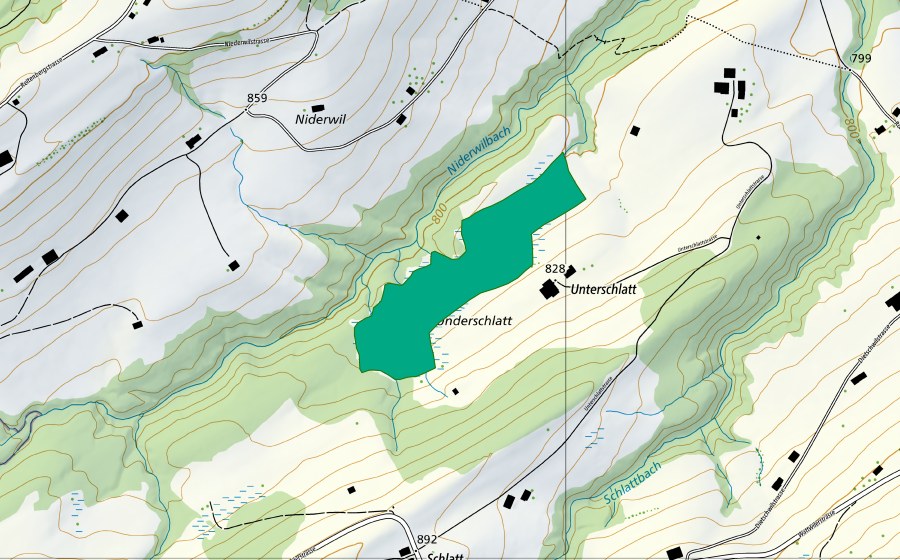 Carte nationale swisstopo avec le périmètre protégé de Unter-Schlatt (Bas-marais)