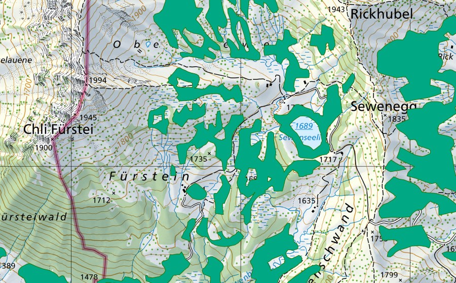 Carte nationale swisstopo avec le périmètre protégé de Unter Sewen (Bas-marais)