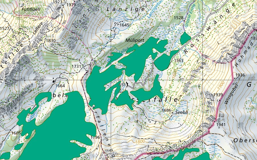 Landeskarte swisstopo mit dem Schutzperimeter von Unter Wasserfallen (Flachmoor)
