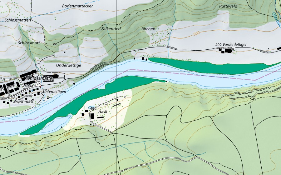Carte nationale swisstopo avec le périmètre protégé de Unterdettigen-Vorderdettigen (Bas-marais)