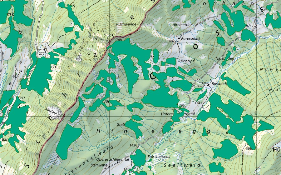 Landeskarte swisstopo mit dem Schutzperimeter von Unteres Schlierental (Flachmoor)
