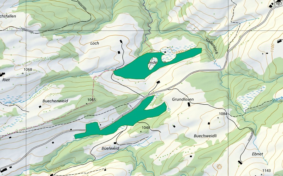 Carte nationale swisstopo avec le périmètre protégé de Unterloch/Grundlosen (Bas-marais)