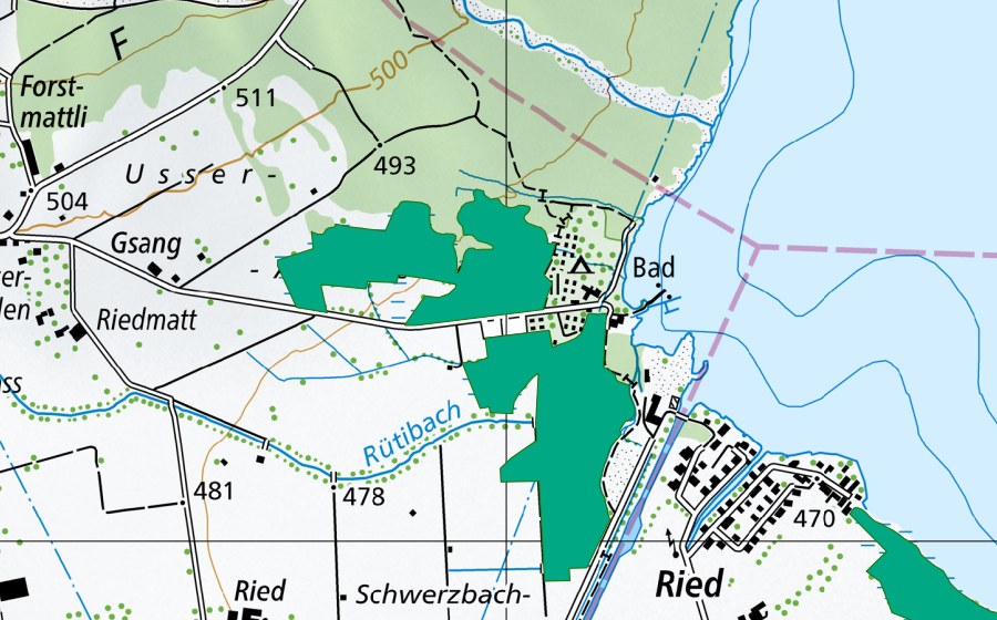 Landeskarte swisstopo mit dem Schutzperimeter von Usser Allmend (Flachmoor)
