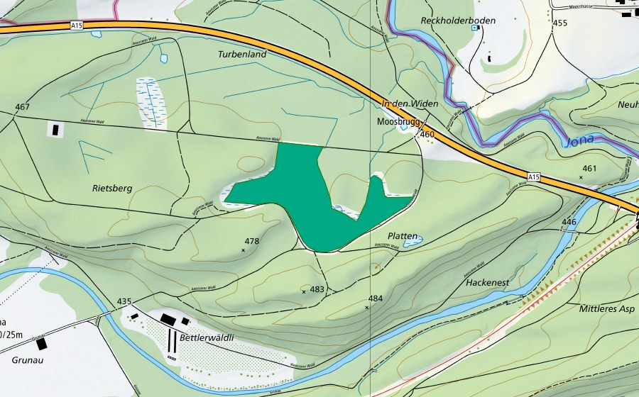 Carta nazionale swisstopo con il perimetro protetto di Usser Wald (Torbiera bassa)